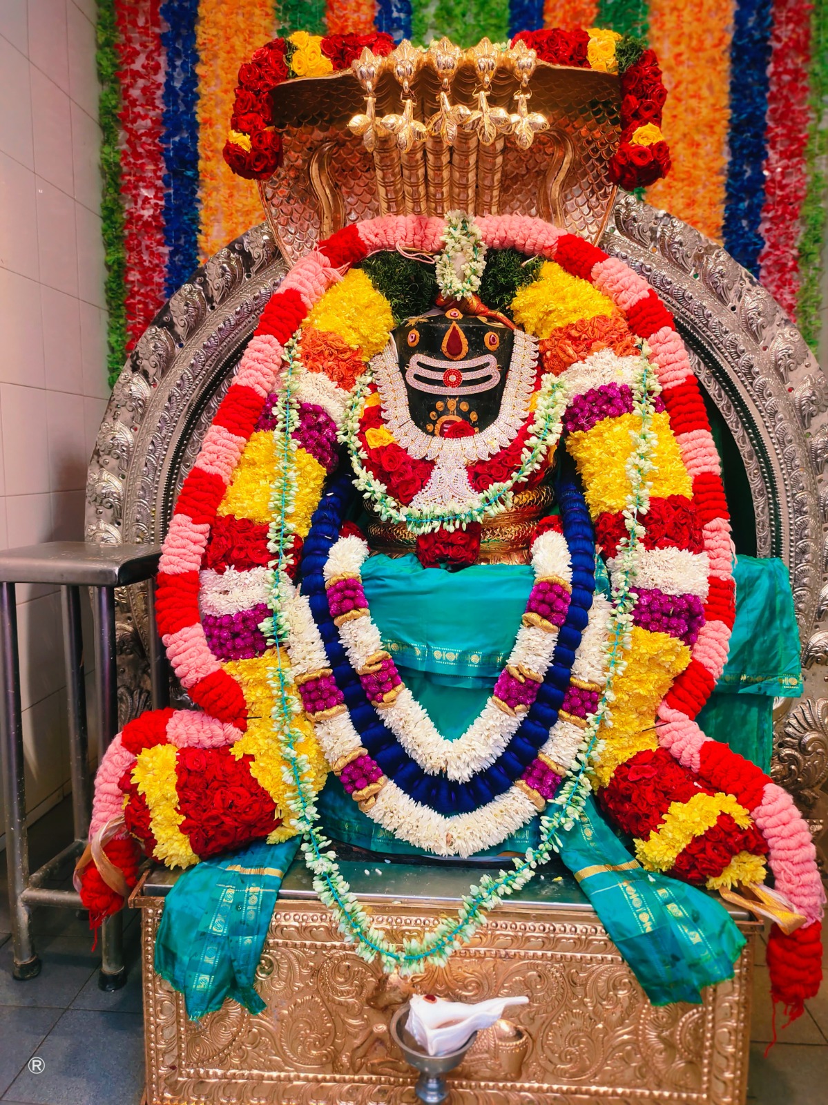 WhatsApp Image 2025-07-07 at 6.53.22 AM (6)