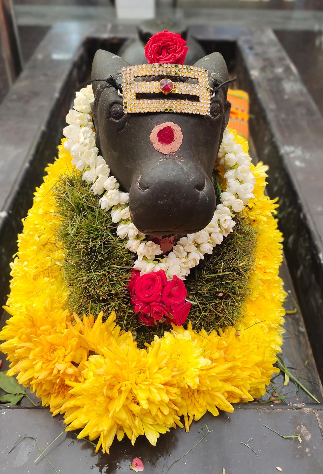 Sree Nandikeswarar