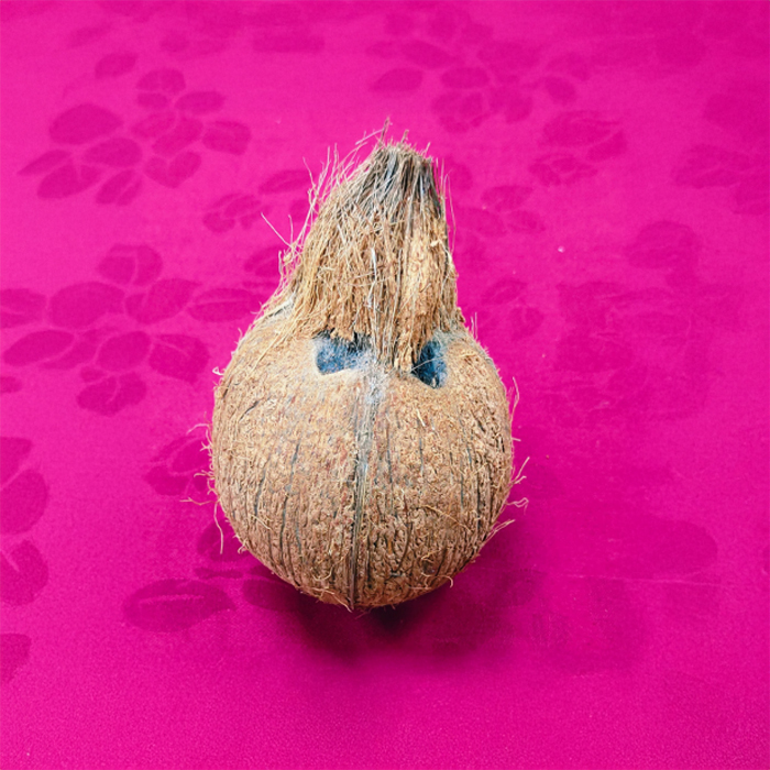Coconut