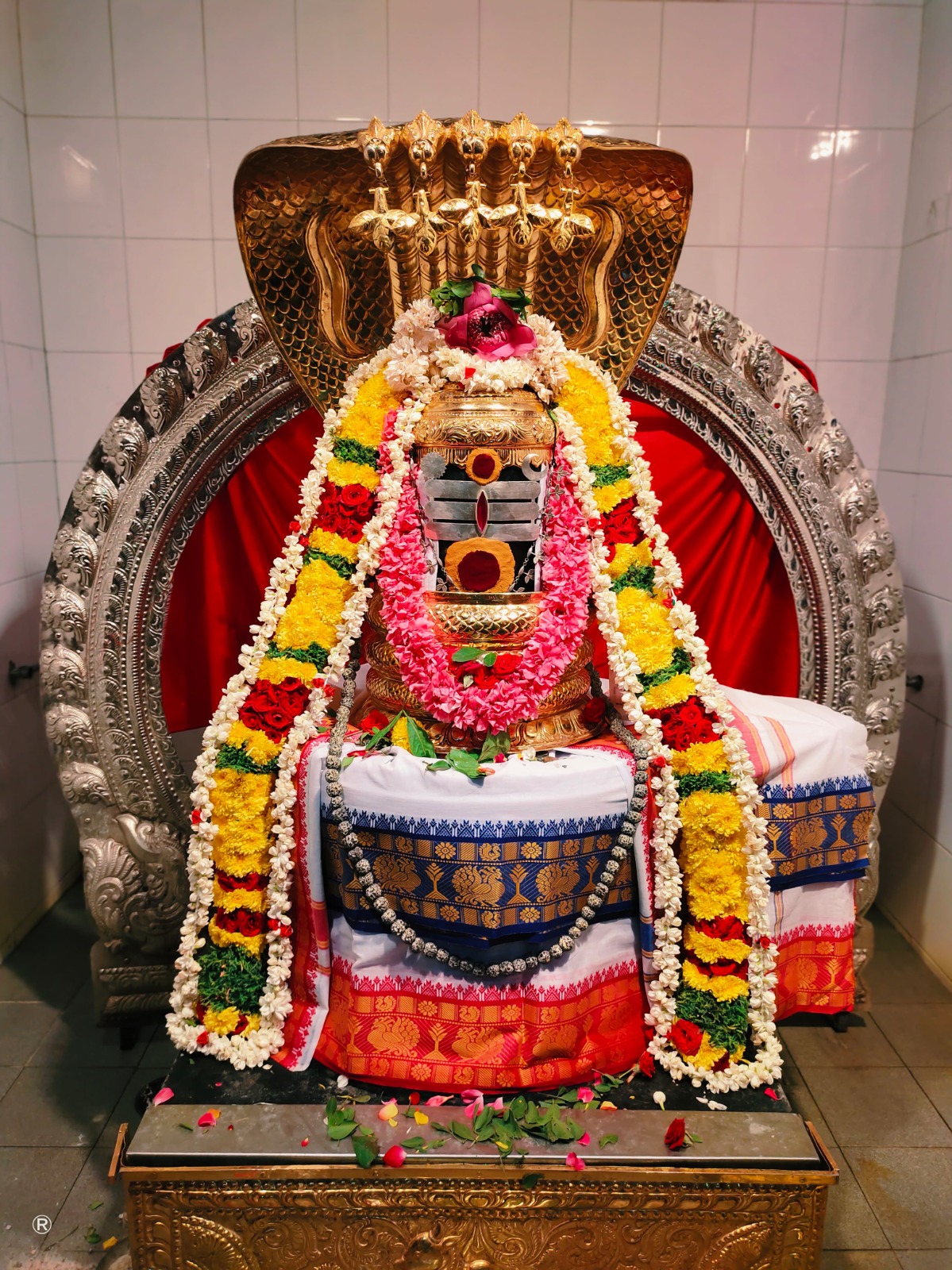 WhatsApp Image 2025-07-07 at 6.53.21 AM