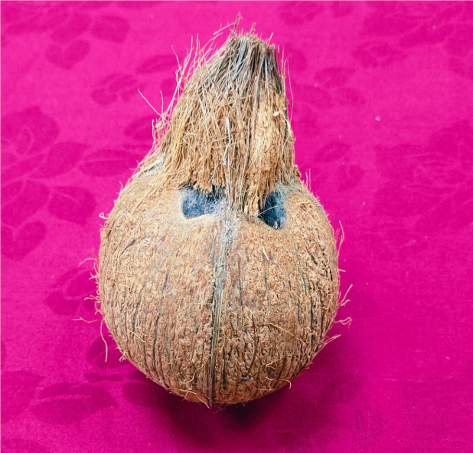 Coconut