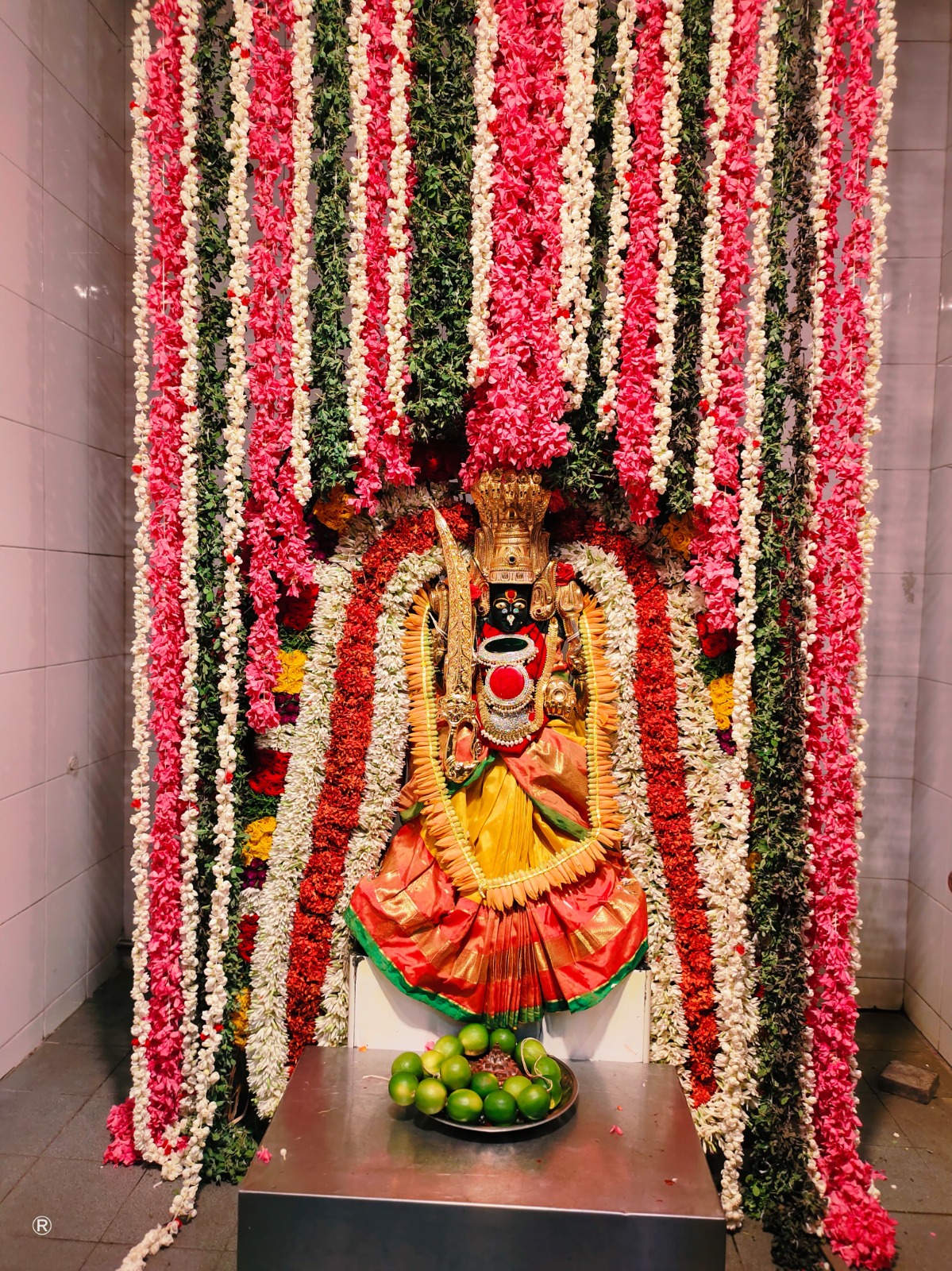 WhatsApp Image 2025-07-07 at 6.53.22 AM (5)