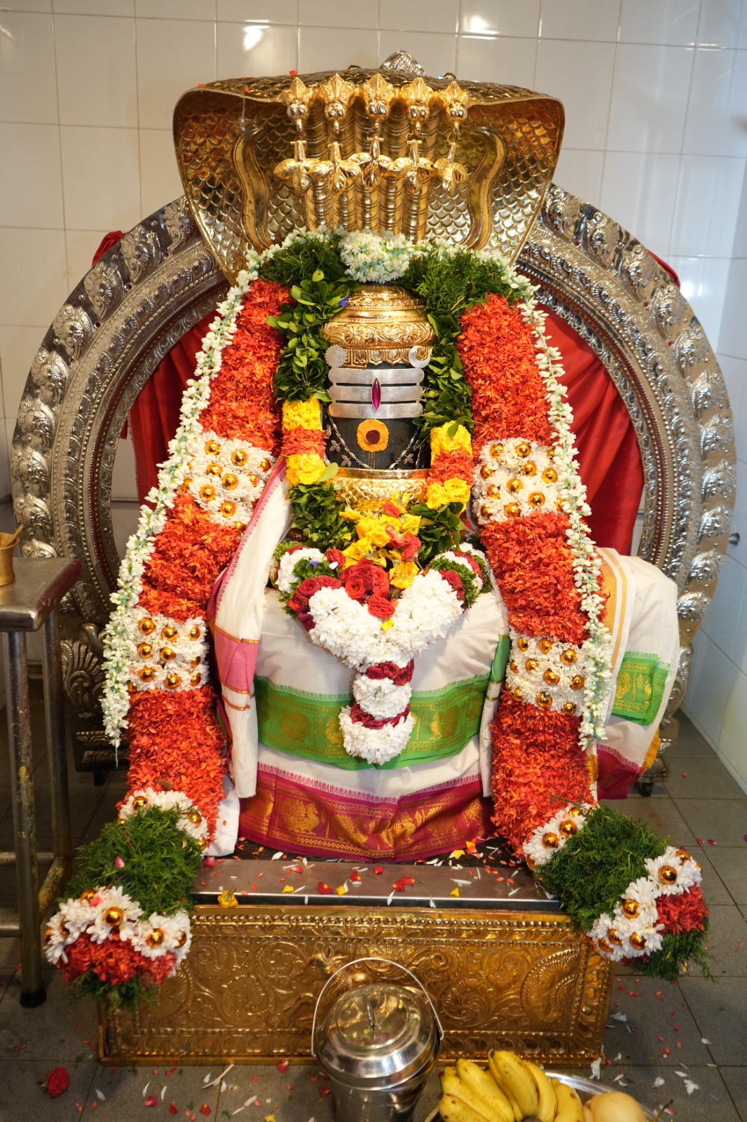 WhatsApp Image 2025-07-07 at 6.53.20 AM (11)