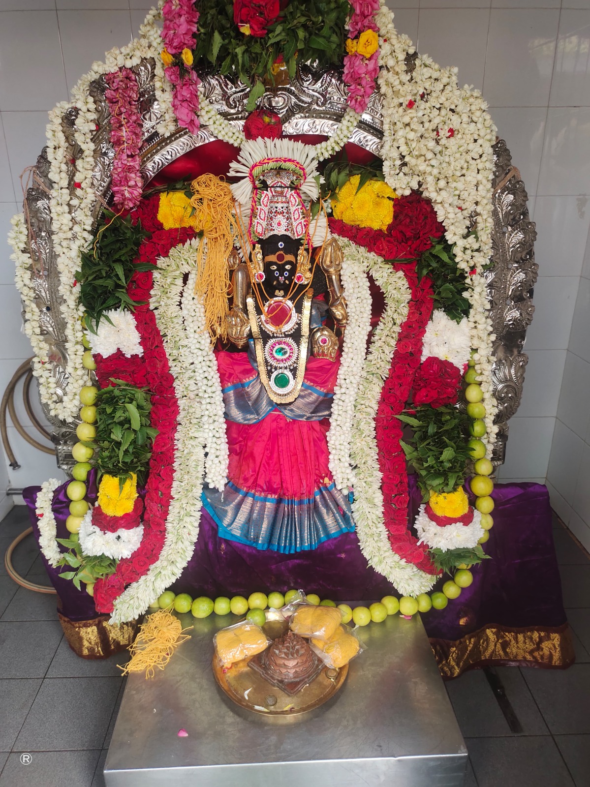 WhatsApp Image 2025-07-07 at 6.53.21 AM (2)