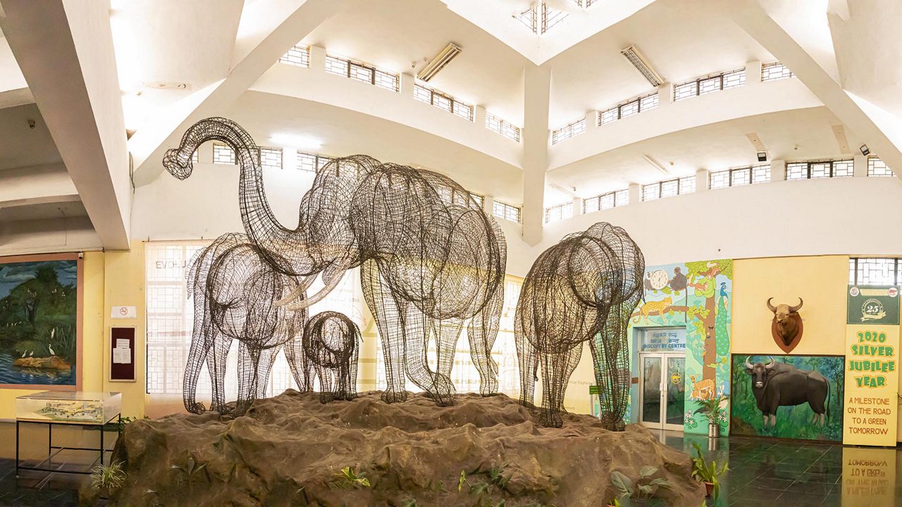 Regional Museum of Natural History