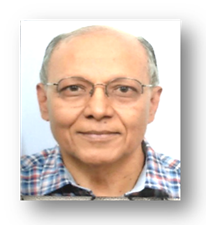 Prof. Mradul Kumar Daga