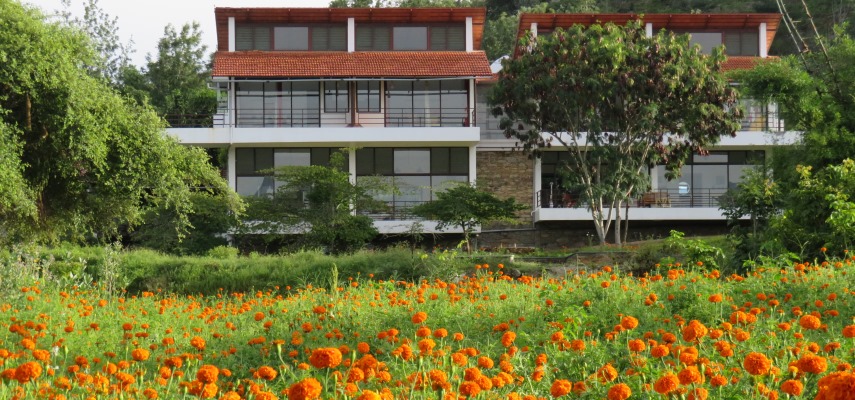 Dhole’s Den Resort