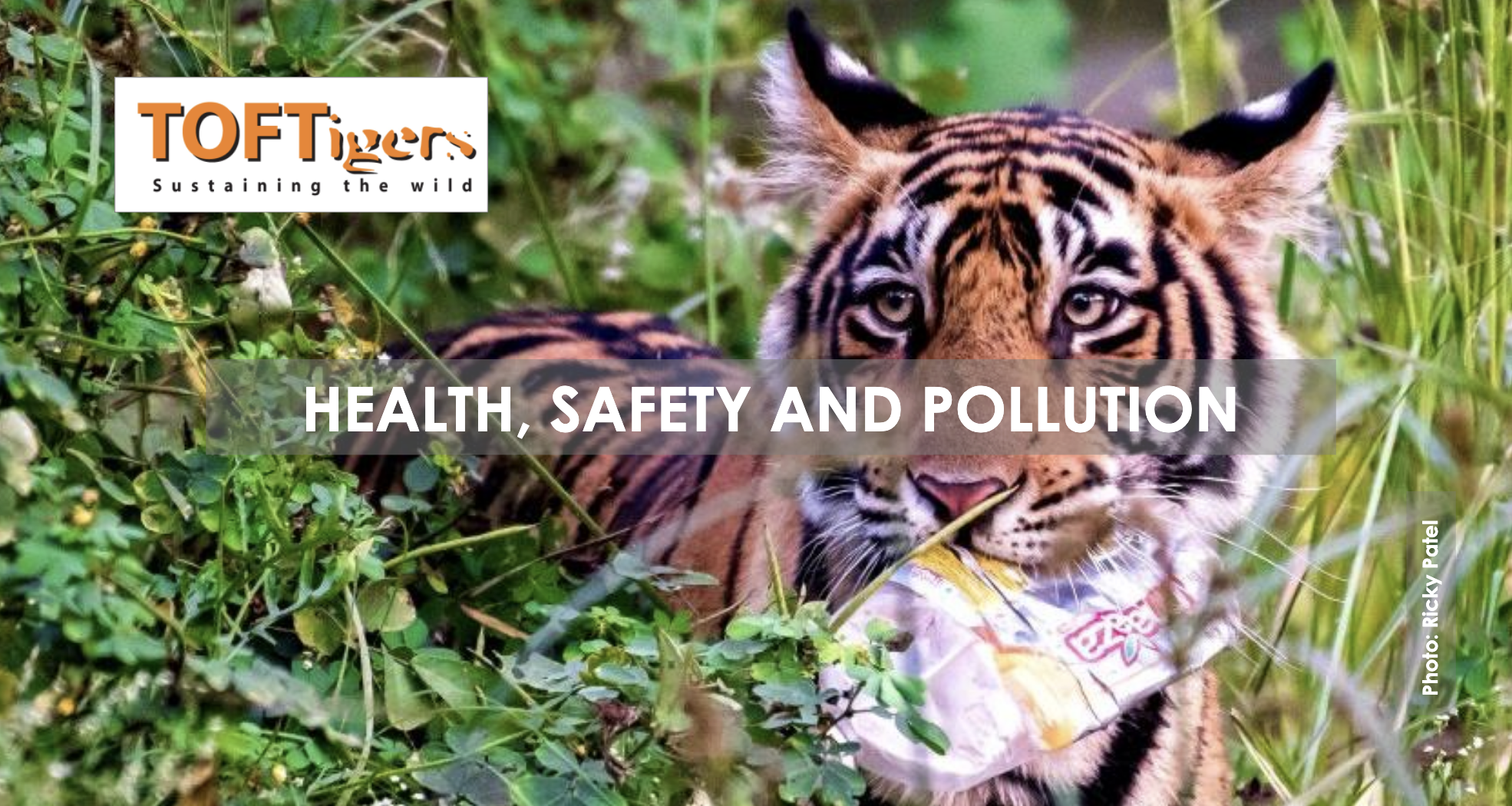 Health, Safety and Pollution toolkit cover