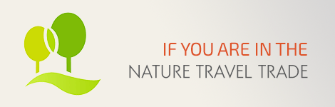 Nature-Positive Travel