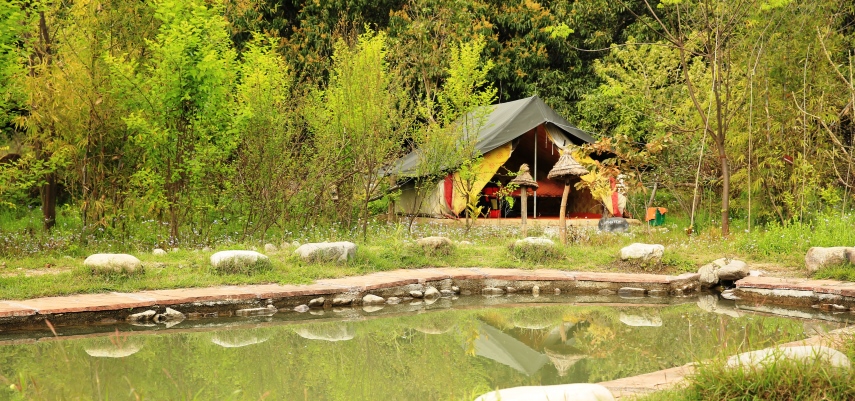 Camp Hornbill