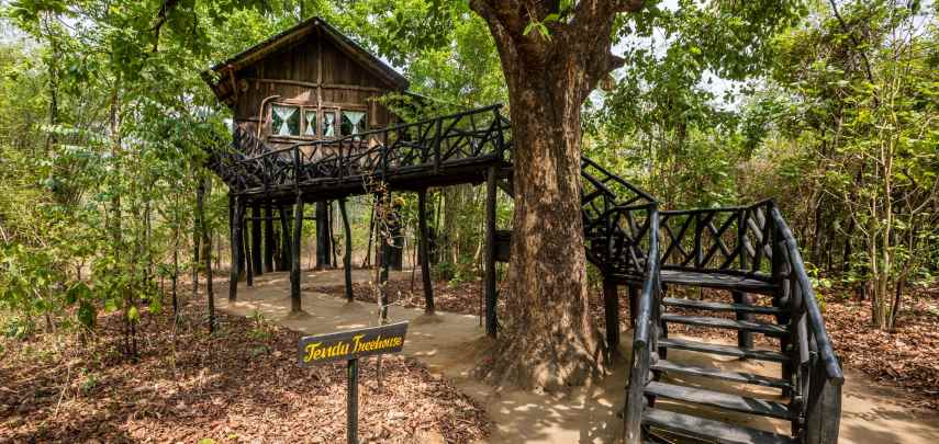 Treehouse-Hideaway-1
