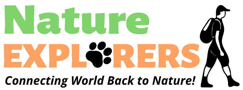 Nature Explorers India