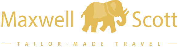 Maxwell Scott Travel