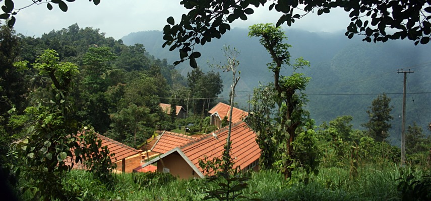 After The Rains Rainforest Lodge