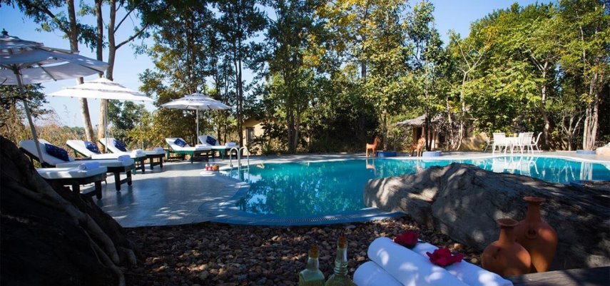 Singinawa Jungle Lodge