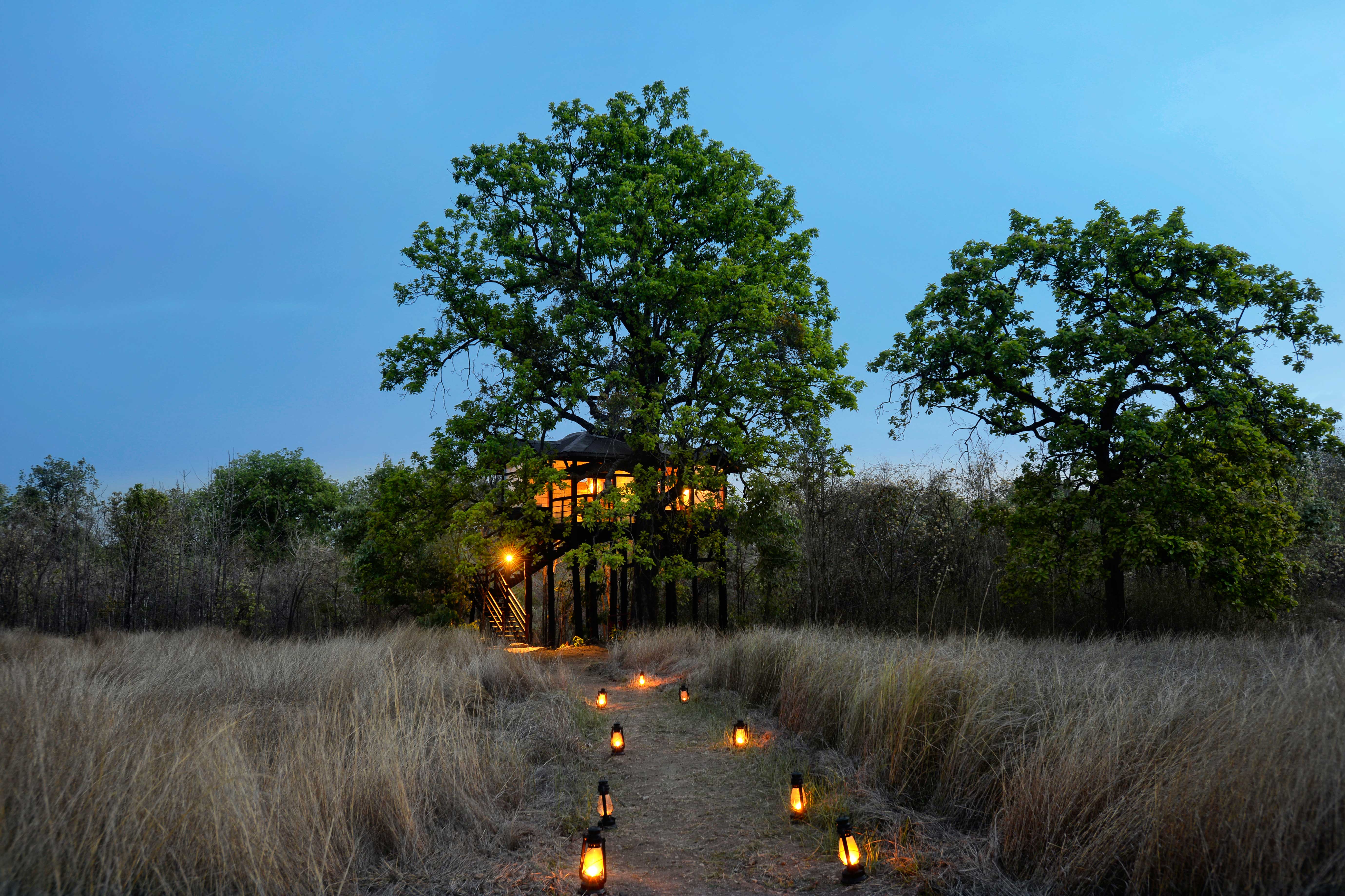 Pench Tree Lodge, Pugdundee Safaris