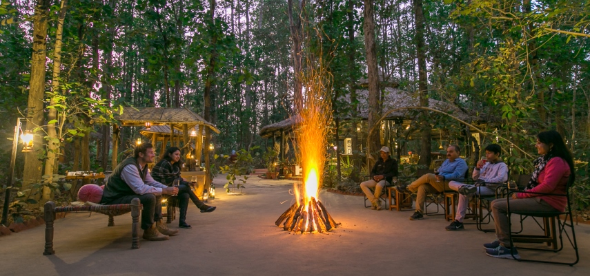 Kanha Jungle Lodge