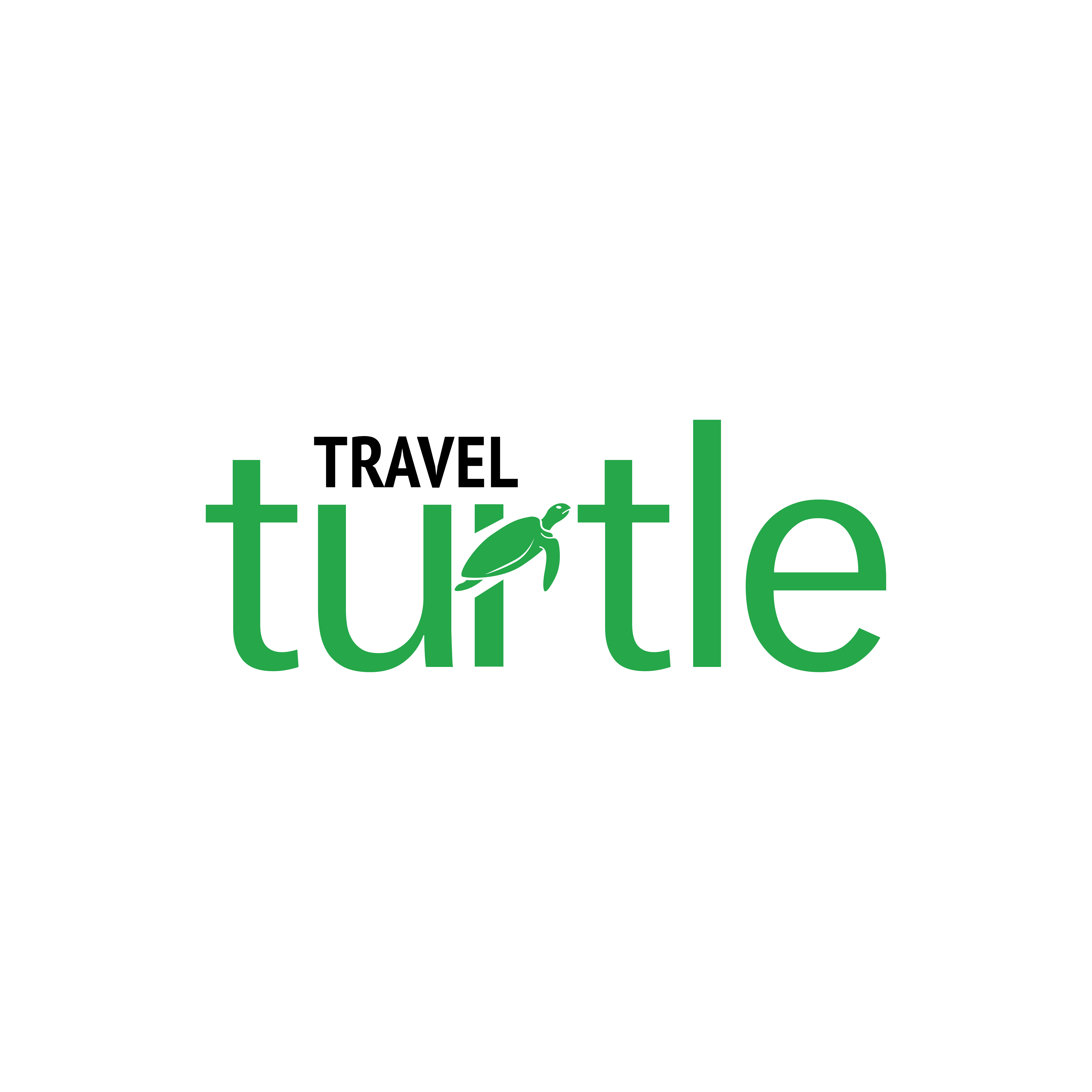 Travel Turtle