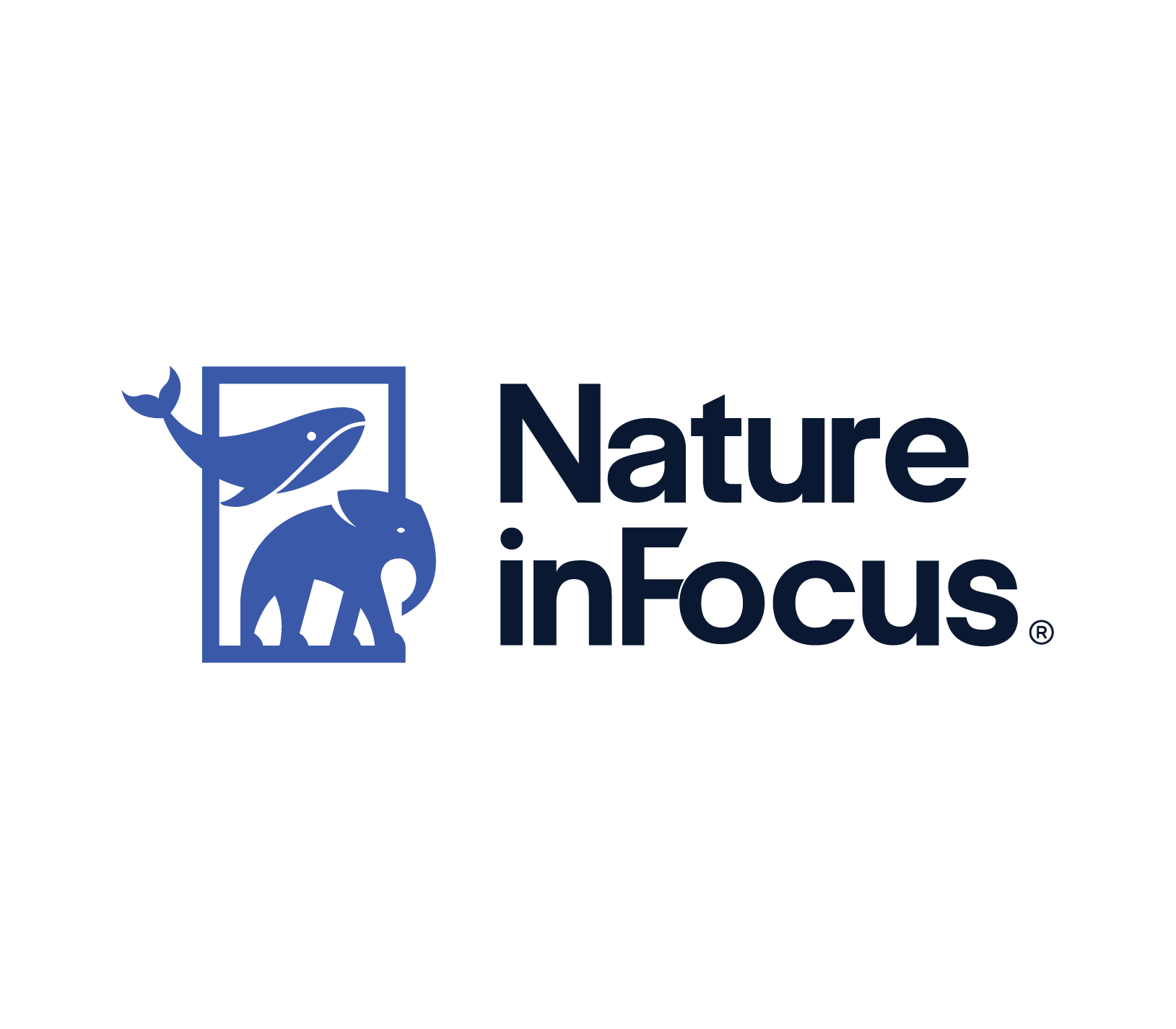 Nature inFocus