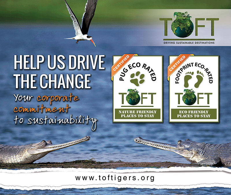 Help Us Drive the Change