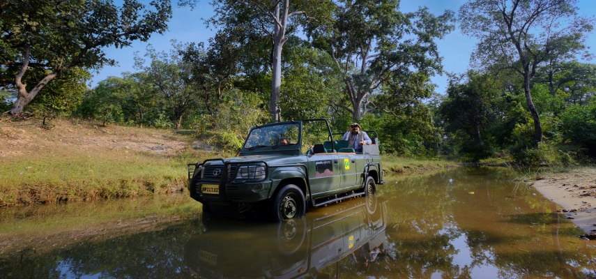 Pench Jungle Camp