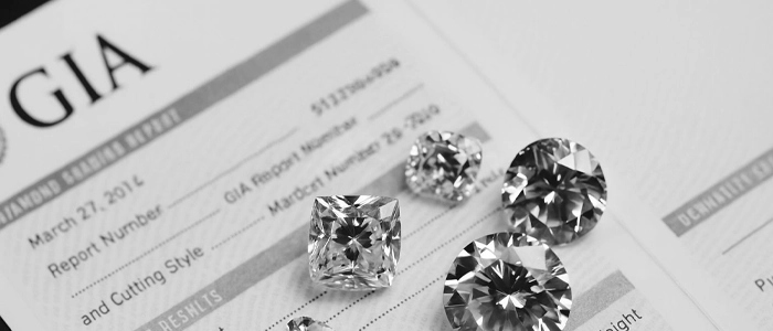 Certified Excellence