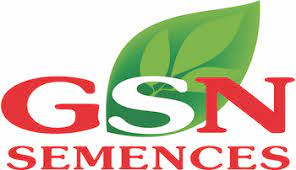 GSN Semence