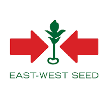 East West Seed