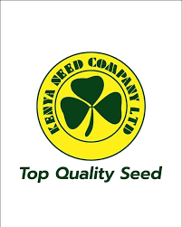 Kenya Seed