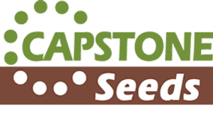 Capstone