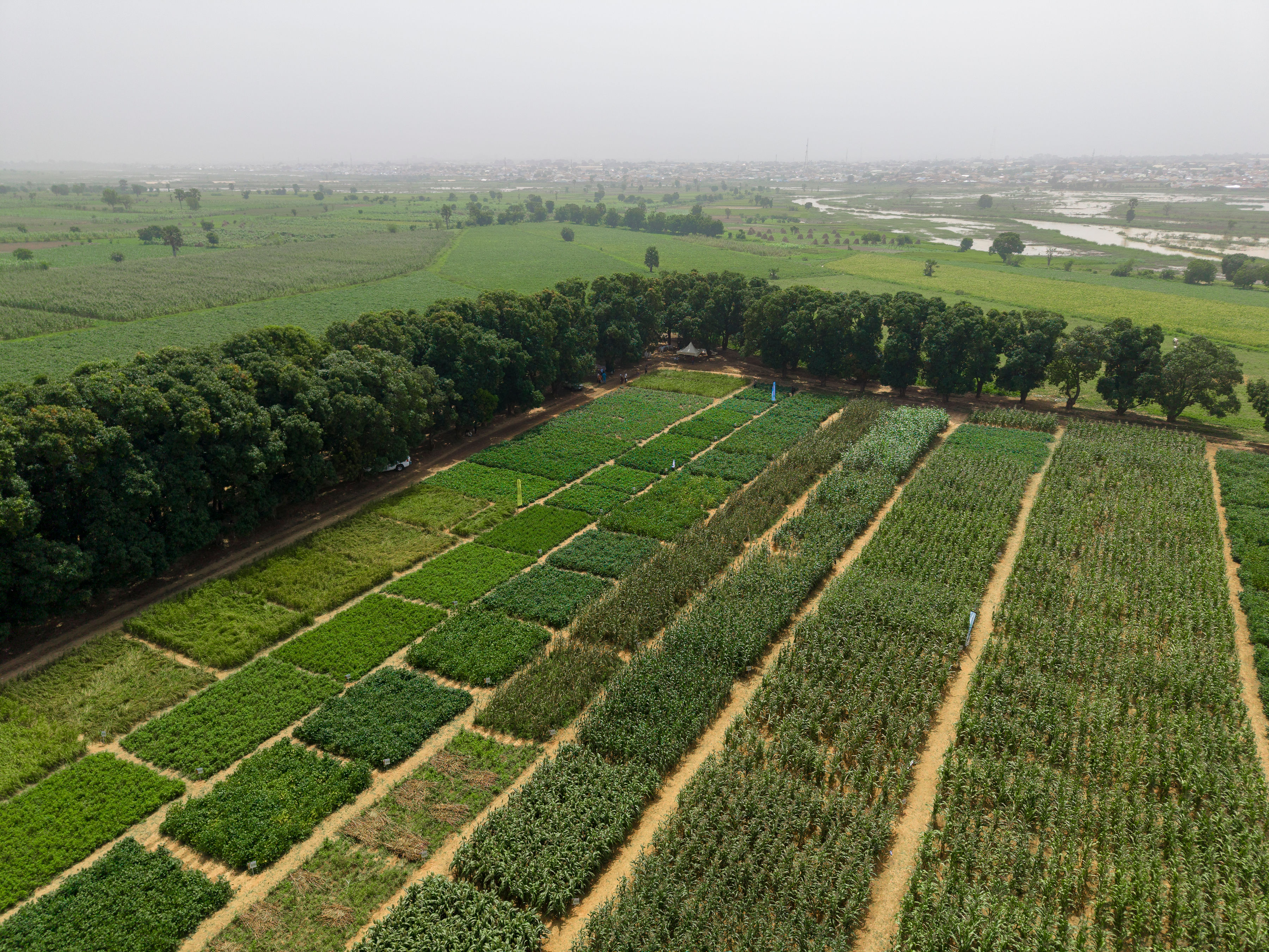 DJI_20261009132609_0017_D