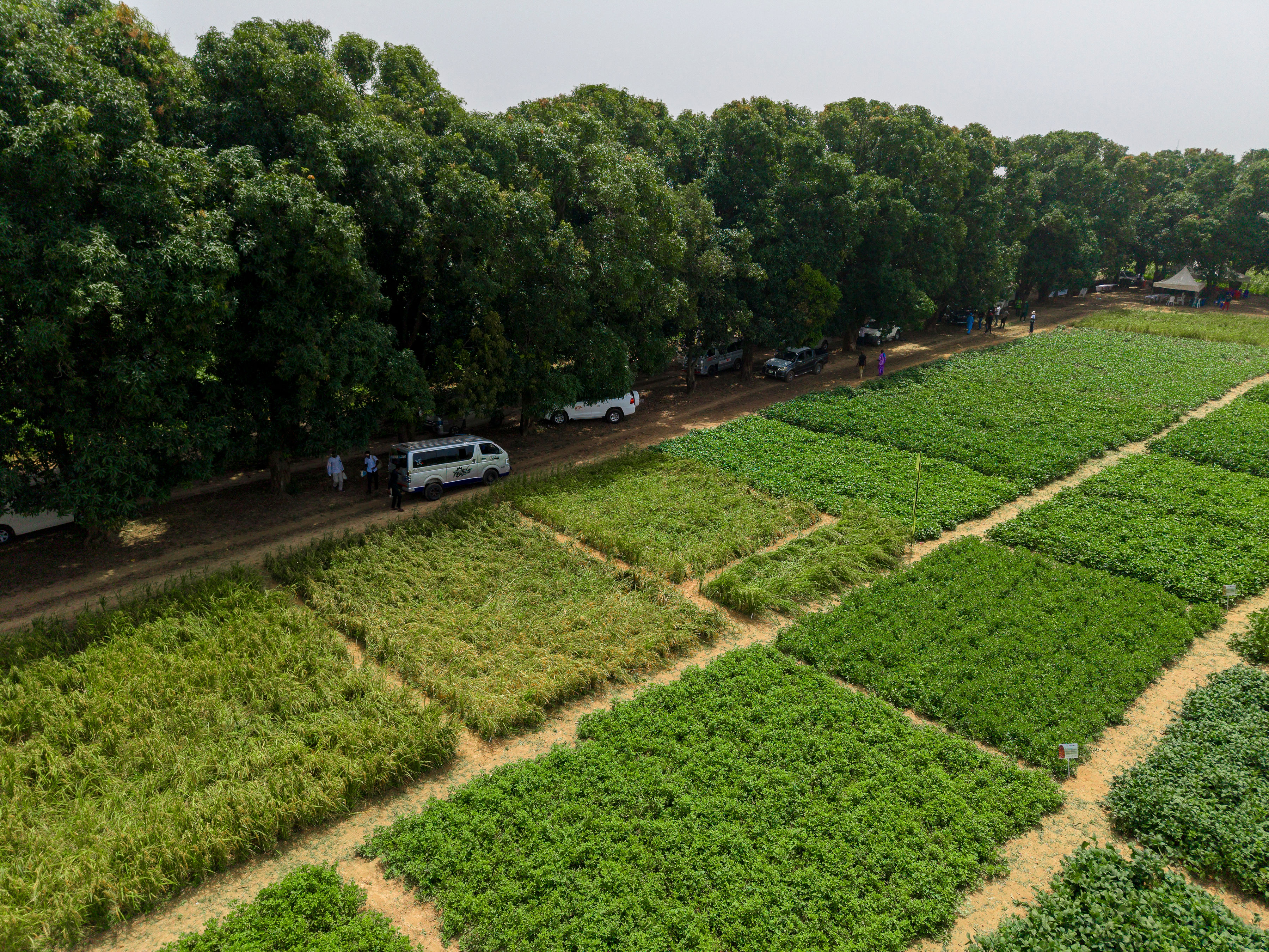 DJI_20260924010017_0005_D