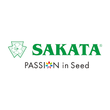 Sakata
