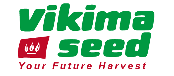 Vikimaseed