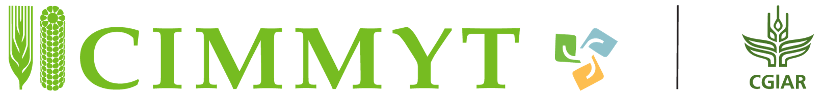 CIMMYT