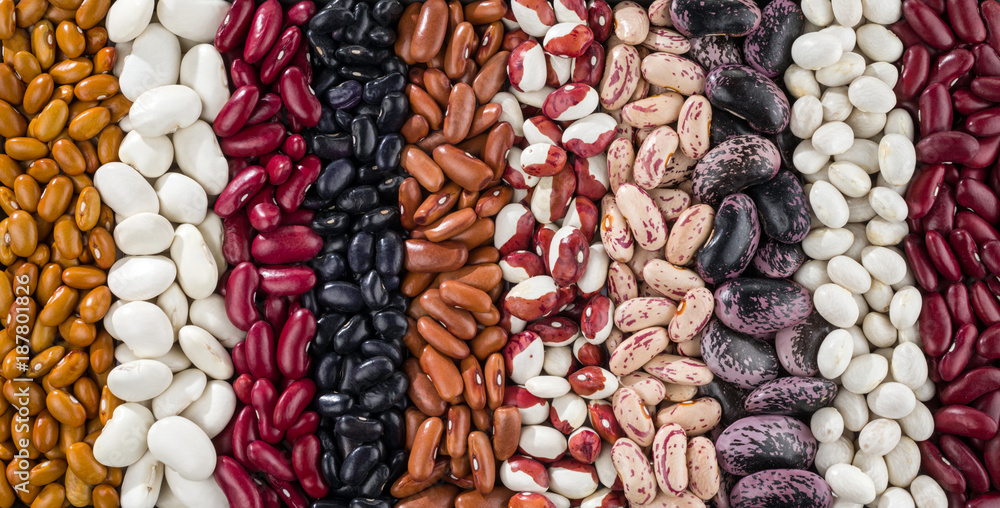 Plant Breeding Innovation