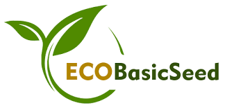 EcoBasic Seeds