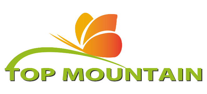 Top Mountain