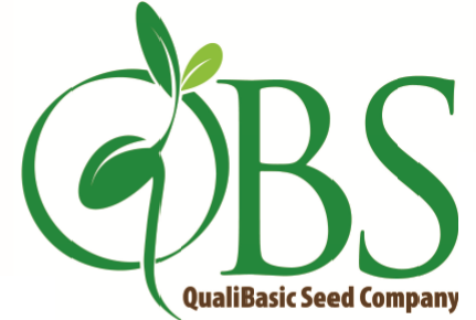 Qualibasic Seed