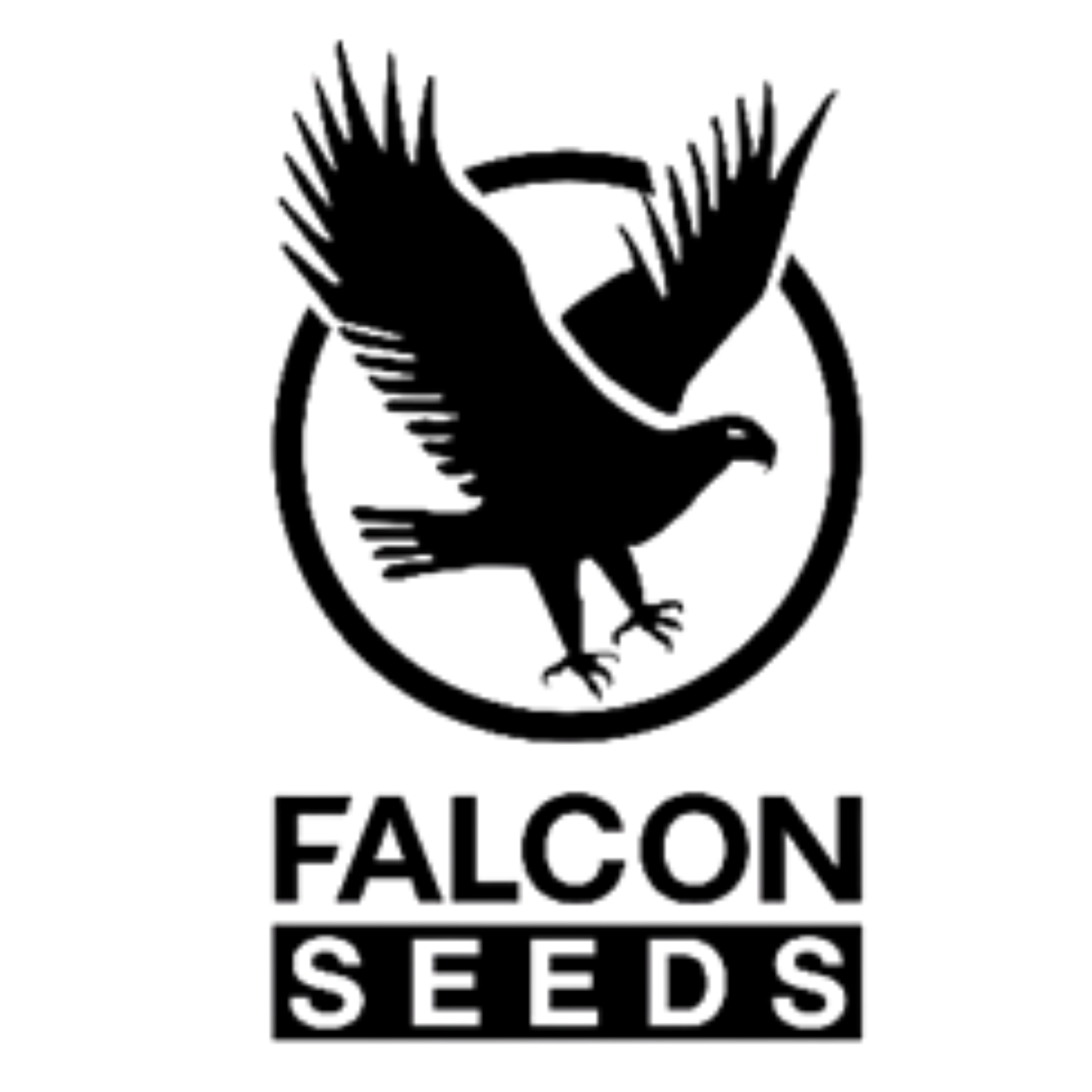 Falcon Seed