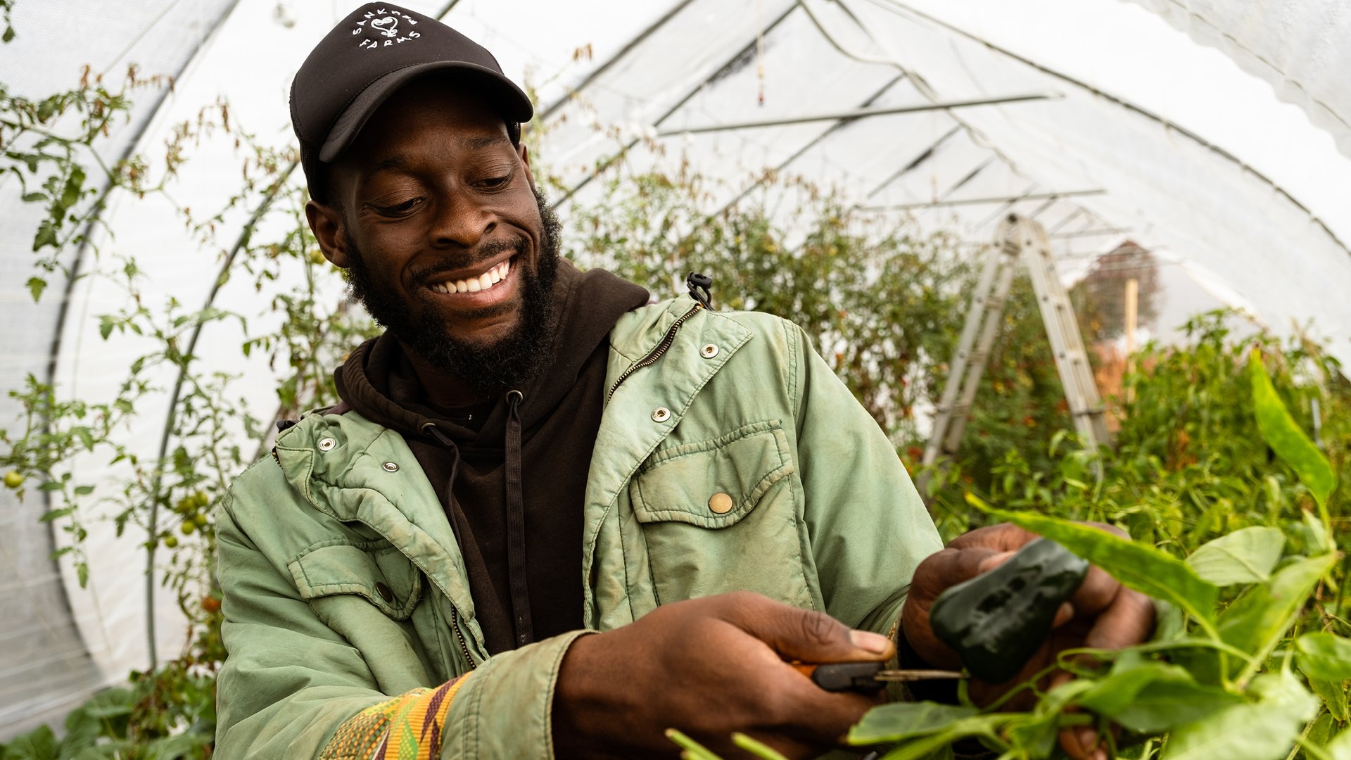 Impactful Seed Projects