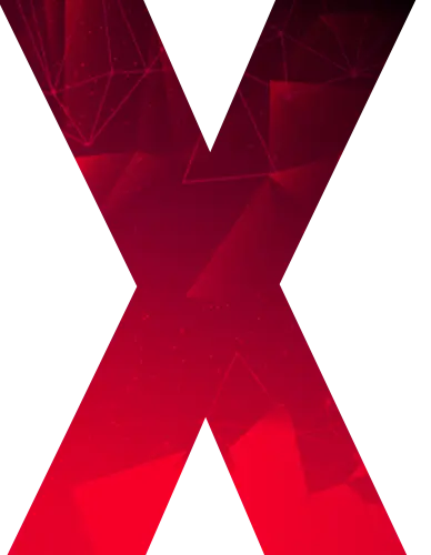x-icon