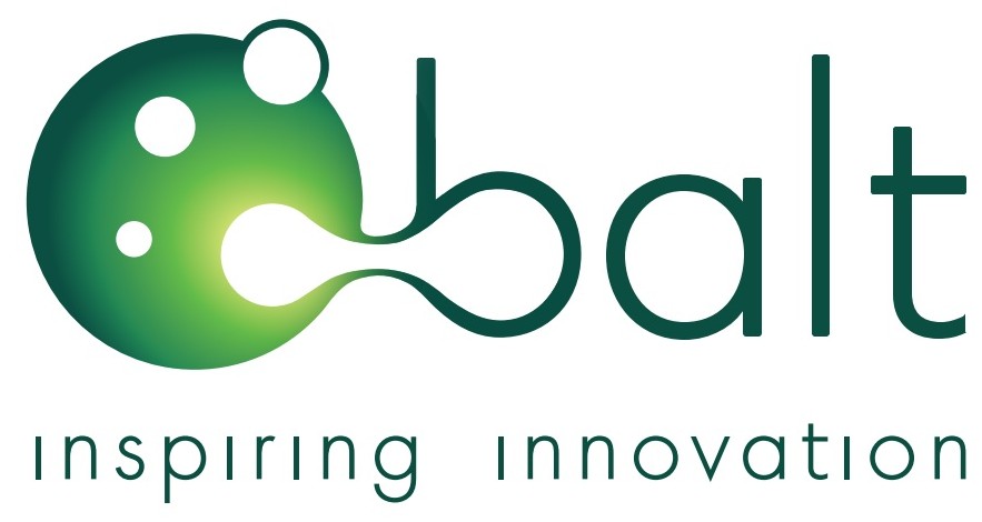 Balt Logo