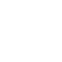 Lifestyle & Consumer Brands 