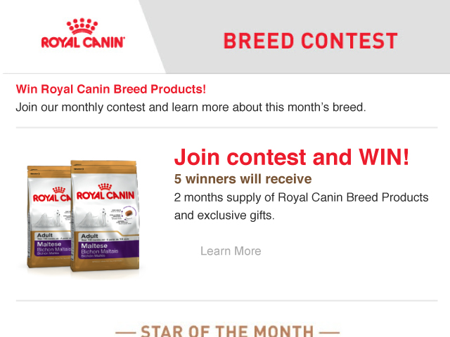 Royal Canin [Breed Contest]
