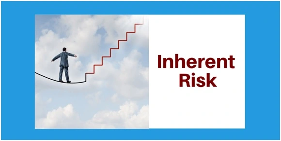 Inherent Risk