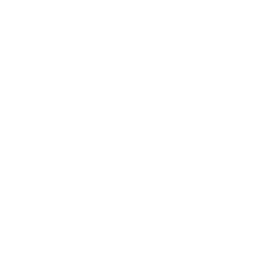 HOLISTIC