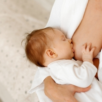Postnatal Lactation Programme