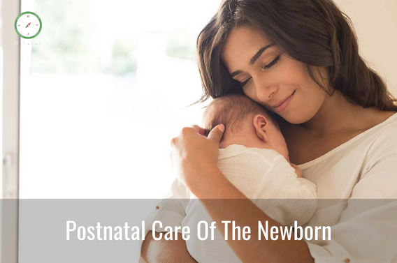Postnatal Care Of The Newborn