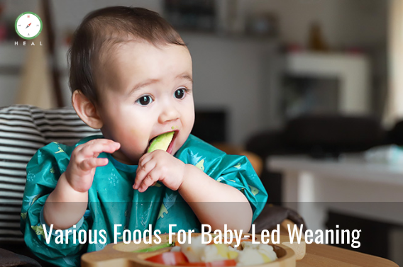 Baby led store weaning indian food